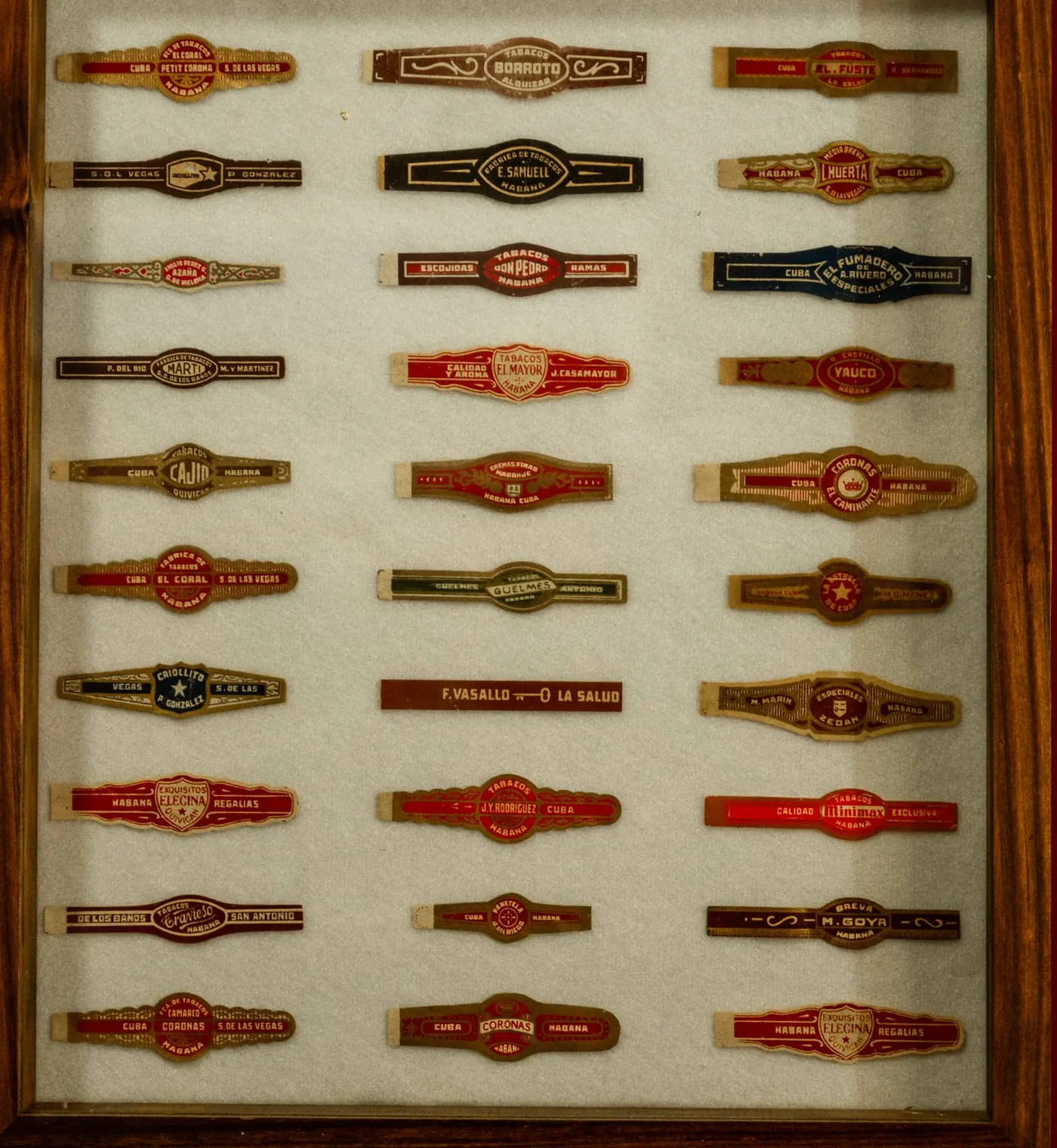 Colección enmarcada de anillos de puros cubanos antiguos sobre una pared roja