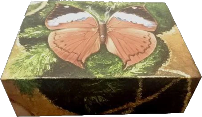 Sikerei artist humidor