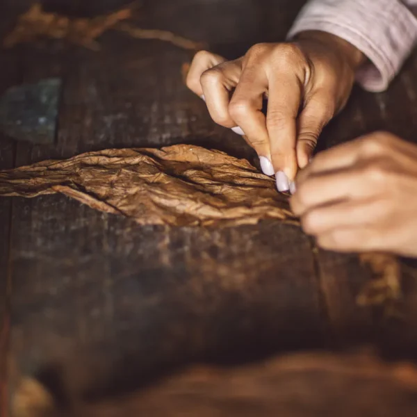 clandestinos-cigars-habano-cuban-boutique-cigar-wholesale-luxury-blend-sld-5